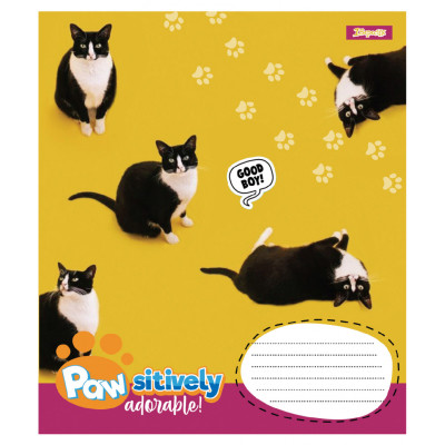Зошит 1 вересня Pawsitively А5 24 аркушів клітинка (768240) Вінниця - фото 6