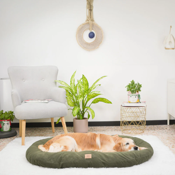 Лежак — подушка для собак і котів із мікрофлісу Ferplast Relax Microfleece (Ферпласт Релакс Мікрофліс) Запоріжжя