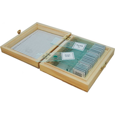 Набор микропрепаратов Sigeta Ботаніка 25 шт (65104) Винница - изображение 1