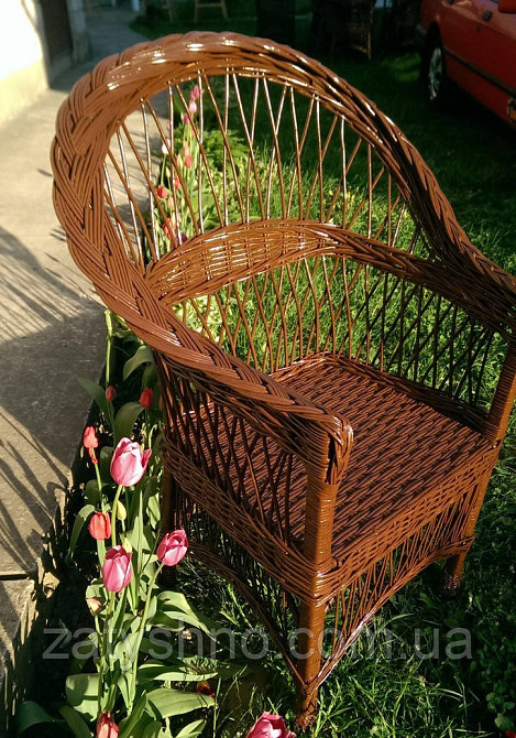 Кофейная садовая мебель плетеная Киев - изображение 2