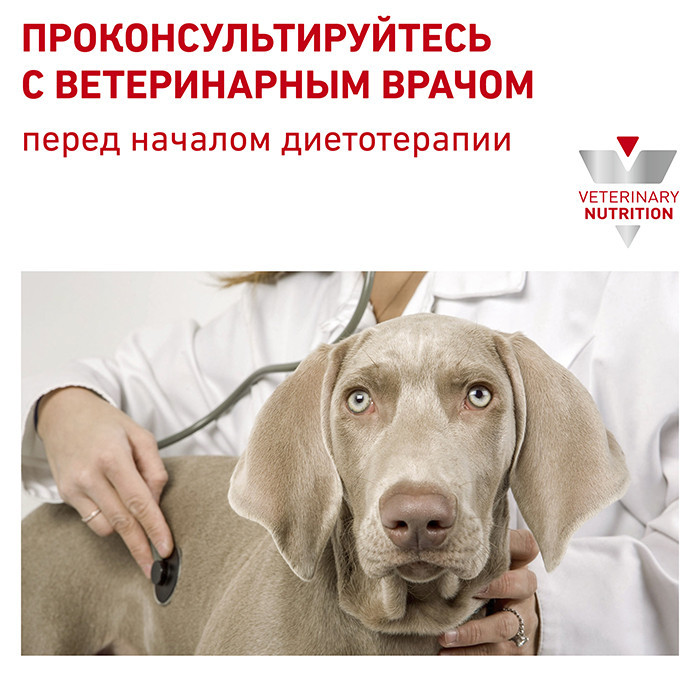 Royal Canin Hypoallergenic (Рояв Канін Гіпоалердженік) сухий корм для собак з алергичною реакцією 2 кг. Запоріжжя - фото 8