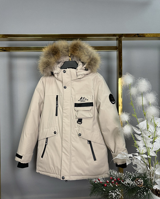 Подростковая молочная  зимняя куртка для мальчика на холофайбере 140,146 Николаев - изображение 1