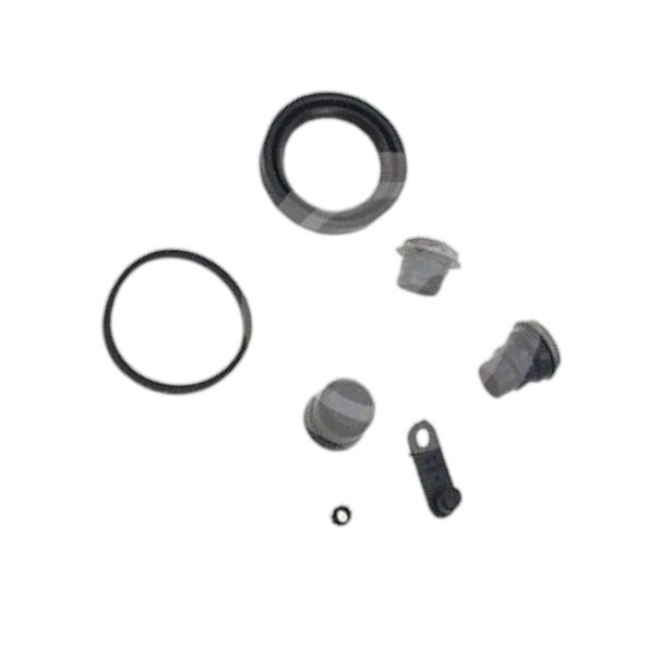 Ремкомплект передній Dacia Logan, Renault Kangoo, Ford Escort (d, 54mm) супорта Мукачево - фото 1