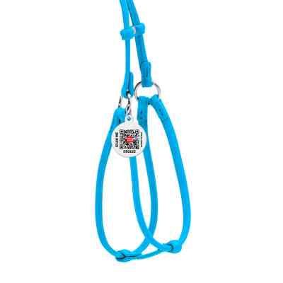 Шлей для собак WAUDOG Glamour круглая, с поводком XS голубая (34022) Винница