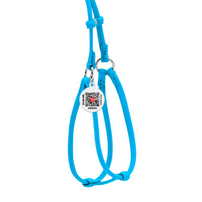 Шлей для собак WAUDOG Glamour круглая, с поводком XS голубая (34022) Винница - изображение 3