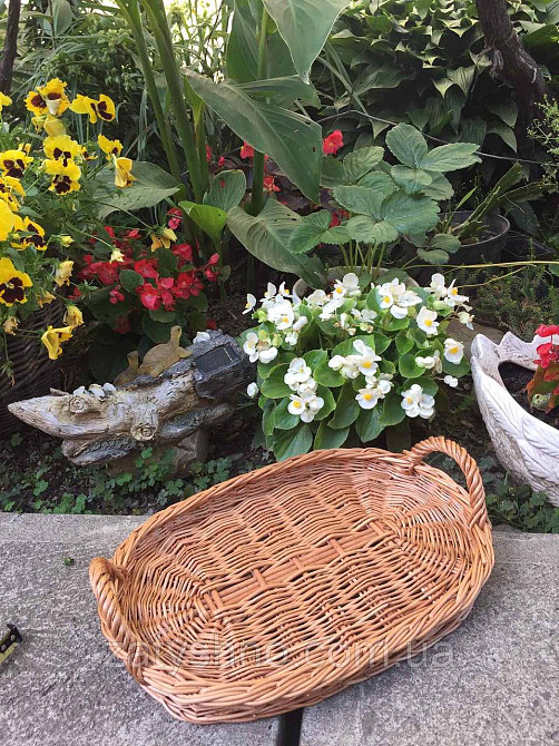 Піднос плетений овальний з лози Київ - фото 2