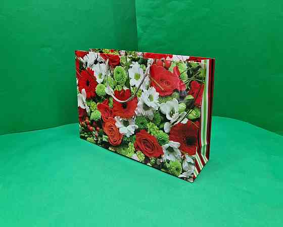 Бумажный большой горизонтальный пакет  36/22/10(артBG-004) (12 шт) Харьков