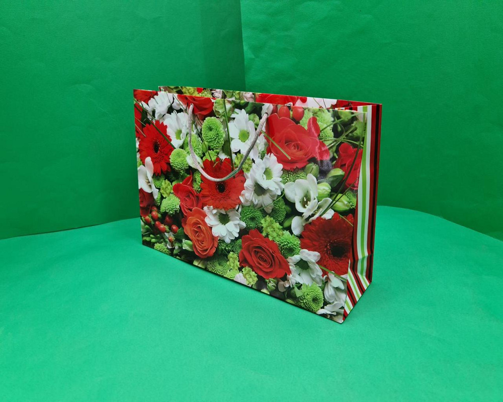 Бумажный большой горизонтальный пакет  36/22/10(артBG-004) (12 шт) Харьков - изображение 1