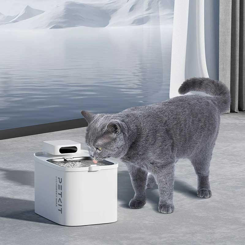 Фильтр для поилки PETKIT Eversweet Max Filter Unit Rect- 5шт Киев - изображение 6