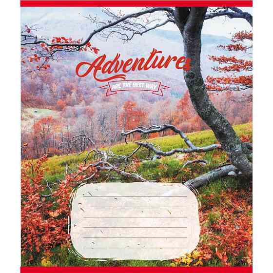 Тетрадь ученическая 