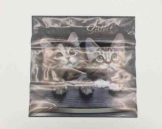 Пакет с пластиковой ручкой (36х37)  