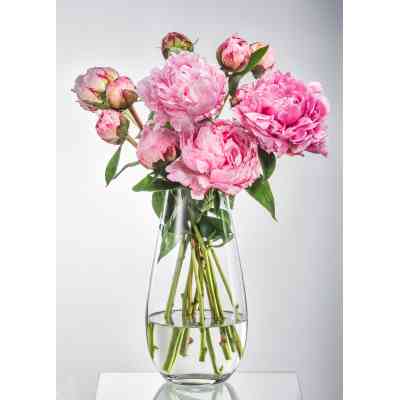 Ваза Bohemia Crystal Margo Plain 30.5 см (B82237-305) Вінниця