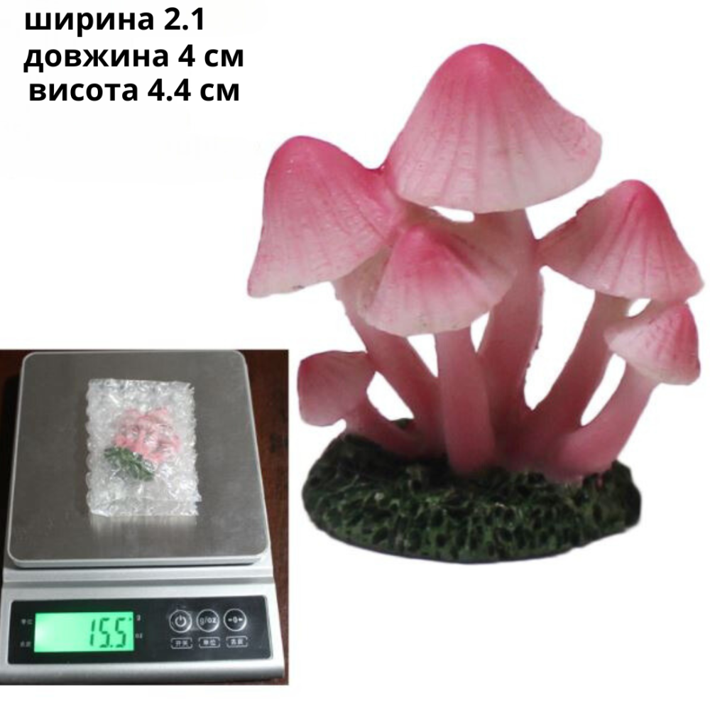 Набор Грибов 3 шт для миниатюры, мини-сада, флорариума, моссариума, микроландшафта, песочного стола Одесса - изображение 4