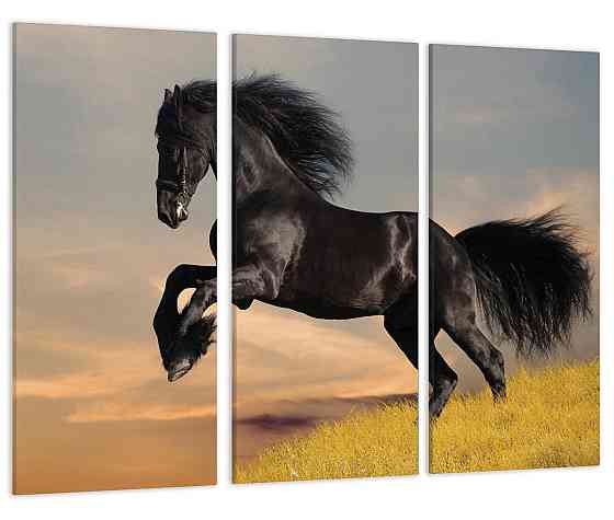 Модульная картина Черная Лошадь Природа Art-87_XXL 70x130 см Киев