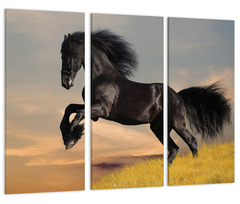 Модульная картина Черная Лошадь Природа Art-87_XXL 70x130 см Киев - изображение 1