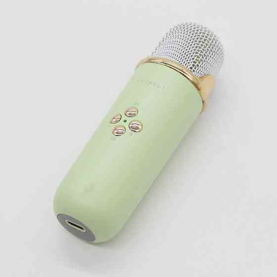 Колонка для караоке з мікрофоном на акумуляторі, Зелений / Блютуз колонка з мікрофоном / Караоке колонка Київ