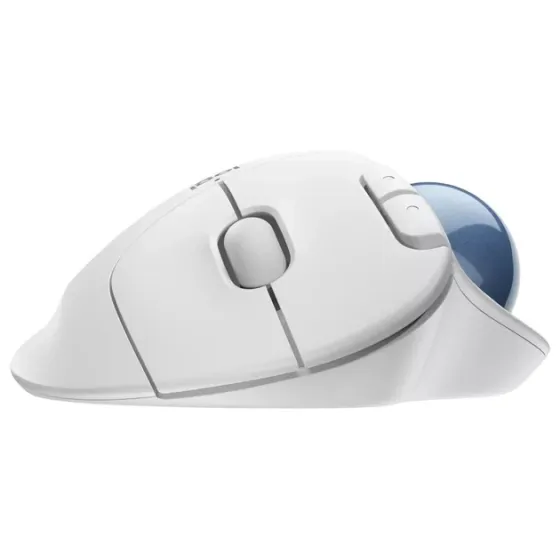Мышь компьютерная Logitech Ergo M575 Bluetooth Graphite белого цвета MasterSem Киев