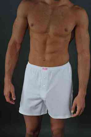 Мужские семейные трусы из хлопка Lans 01/004 Киев