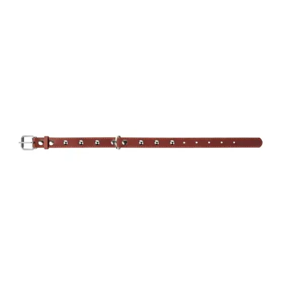 Ошейник CoLLaR одинарный с украшениями (ширина 35мм, длина 48-63см) коричневый Киев