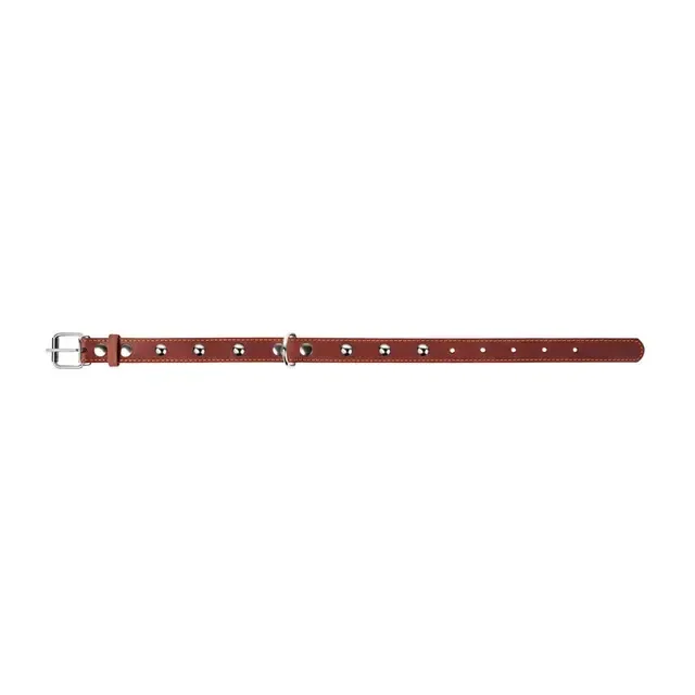 Ошейник CoLLaR одинарный с украшениями (ширина 35мм, длина 48-63см) коричневый Киев - изображение 3