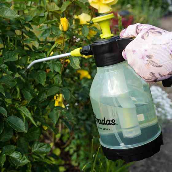 Пневматический опрыскиватель 2л, AQUA SPRAY CLEAR, AS0200CL Киев