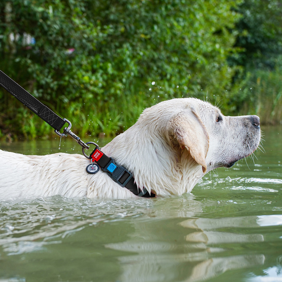 Ошейник для собак водостойкий WAUDOG Waterproof c QR паспортом, пластикова пряжка-фастекс, Ш 25 мм, Дов 38-58 см, чорний Київ - фото 5