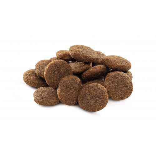 Сухий корм Brit Premium Dog Adult L для дорослих собак великих порід, з куркою, 3 кг Київ