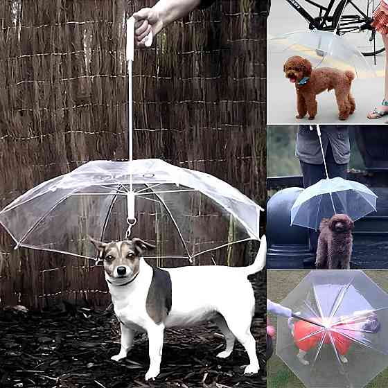 Зонтик для собаки RESTEQ с цепью — удобная и надёжная защита питомца от дождя и солнца на прогулках Киев