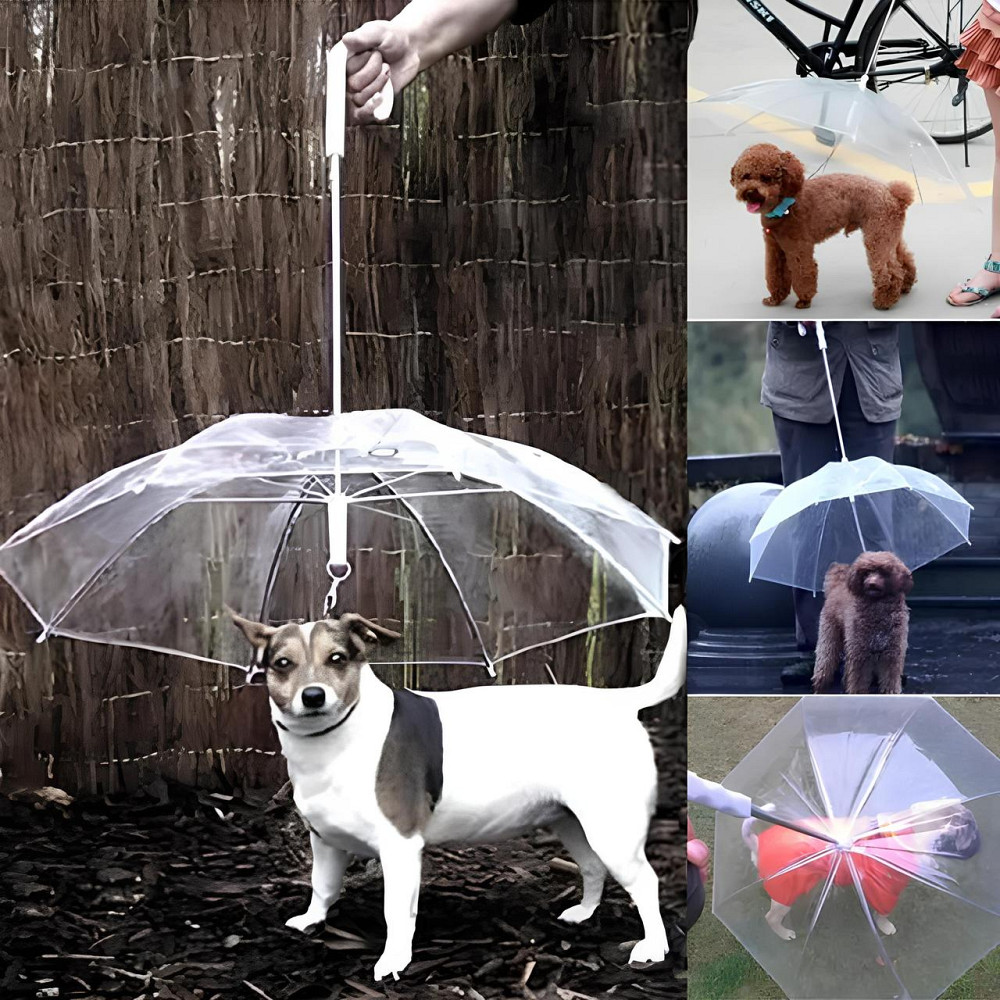 Парасолька для собаки RESTEQ з ланцюгом - зручний і надійний захист вихованця від дощу та сонця на прогулянках Київ - фото 6