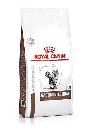 Royal Canin Gastrointestinal (Роял Канін Гастроінтестинал) сухий корм для кішок у разі розладів травлення Запоріжжя