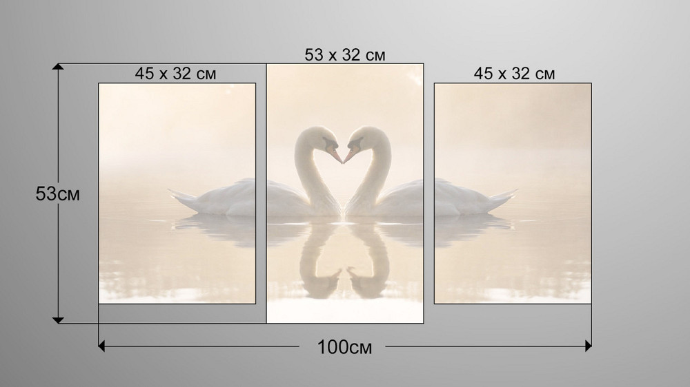 Модульная картина Лебеди Art-206_3 Киев - изображение 3