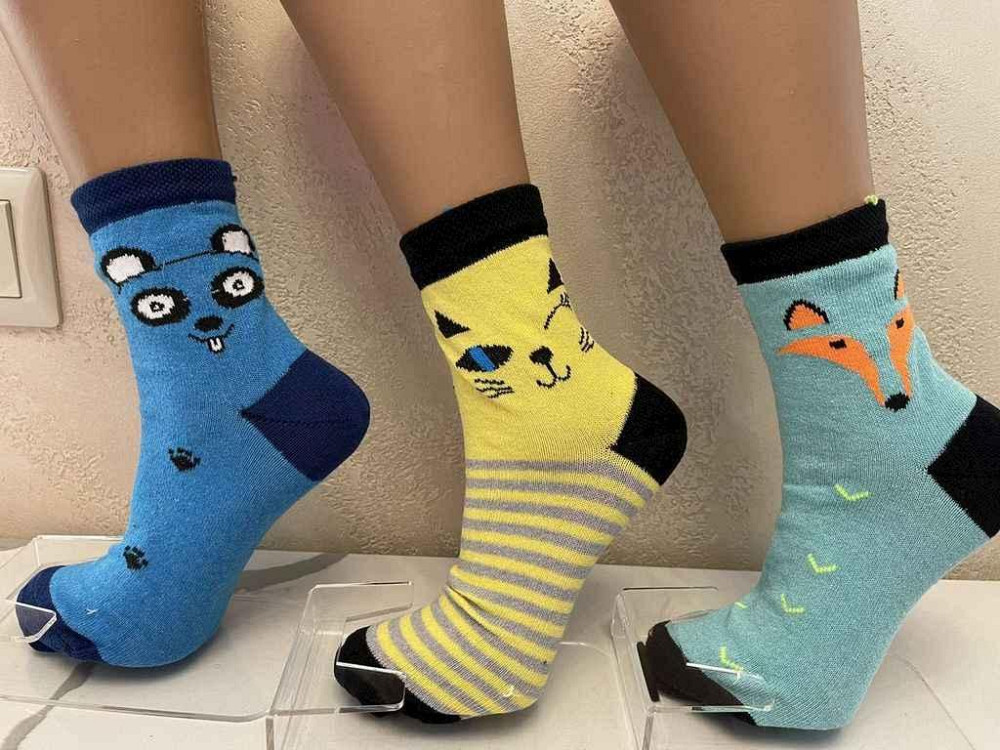 Носки женские Морды (12 пар/уп) р.23-25 ТМ Житомир Solmir Киев - изображение 1