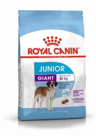Royal Canin Giant Junior (Роял Канін Джаїнт Джуніор) сухий корм для цуценят гігантських порід від 8 місяців Запоріжжя
