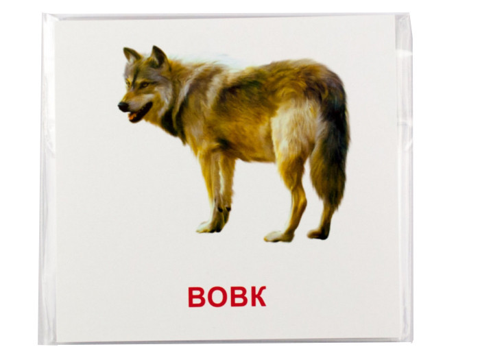 Развивающие карточки 