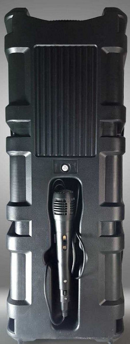 Блютуз колонка большая с микрофоном и RGB подсветкой TTD-2806. Харьков - изображение 6