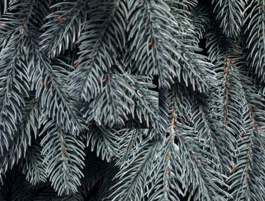 Гирлянда из хвои Премиум 2 м литая (Голубая) Винница - изображение 4