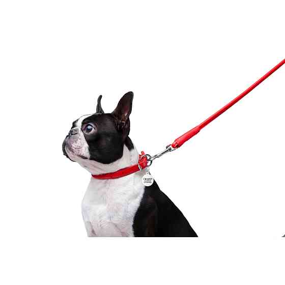 Повідець для собак шкіряний WAUDOG Glamour круглий, Д 8 мм, Дов 122 см червоний Коломия