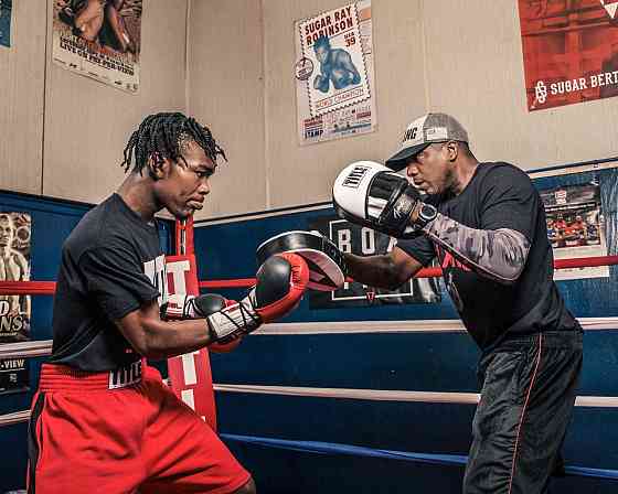 Лапи боксерські TITLE Boxing Attack “Big-T” Punch Mitts 2.0 White/Black Каменское