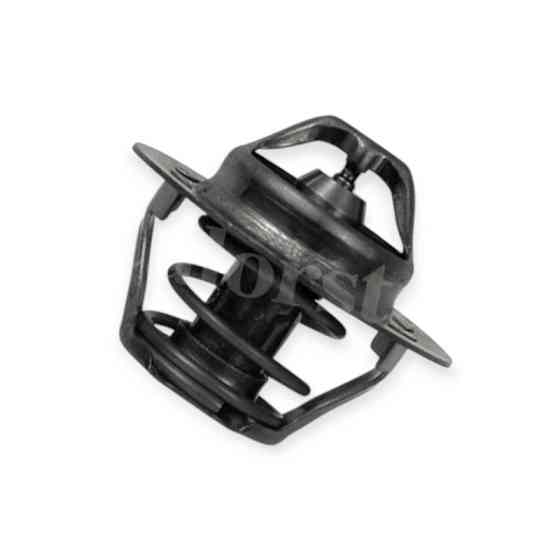 Термостат 19-21,Кенго , Меган Рено Мукачево