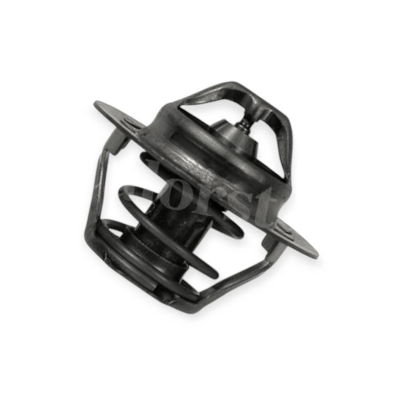 Термостат 19-21,Кенго , Меган Рено Мукачево - изображение 1