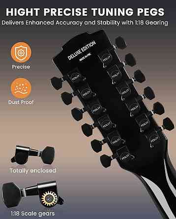 Гітара електро-акустична 12-тиструнна Fesley FDET280 (комплект) Харків