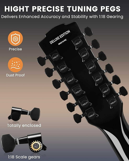 Гітара електро-акустична 12-тиструнна Fesley FDET280 (комплект) Харків - фото 2