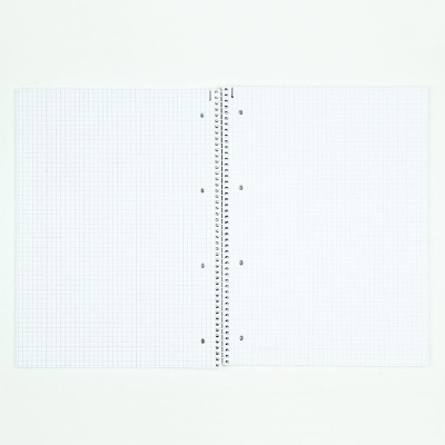 Тетрадь Brunnen Колледж-блок А4 Premium в клеточку 80 листов Zebra (10 675 28 05) Винница - изображение 2