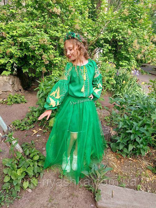 Дитяча вишита сукня з ластівками 104-152 Кривий Ріг - фото 6