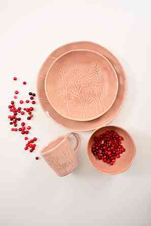 Тарілка обідня Limited Edition Herb Terra (6912316) Київ