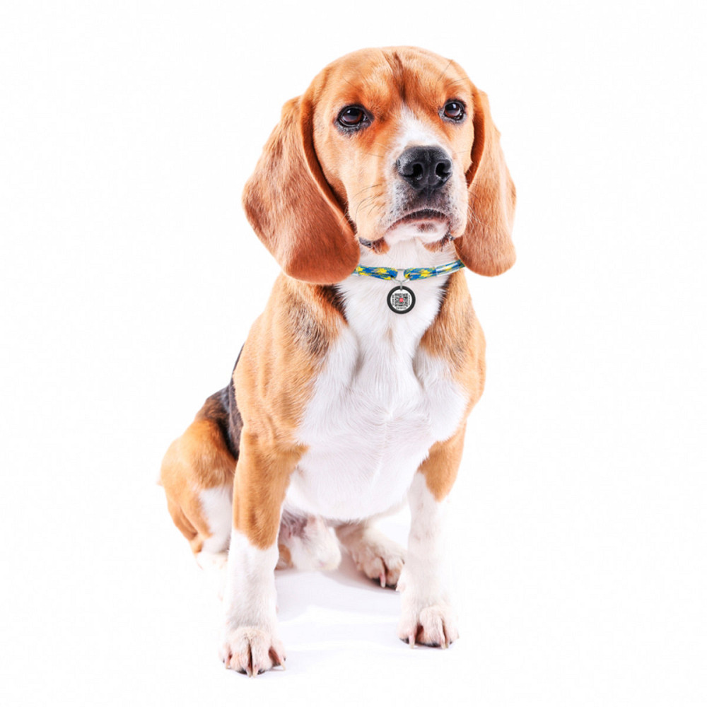 Шнурок для адресника из паракорда WAUDOG Smart ID, светоотражающий, Colors of freedom, размер М, диаметр 4 мм, длина 42-76 см Киев - изображение 3