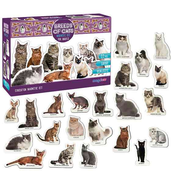 Набор магнитов Magdum 