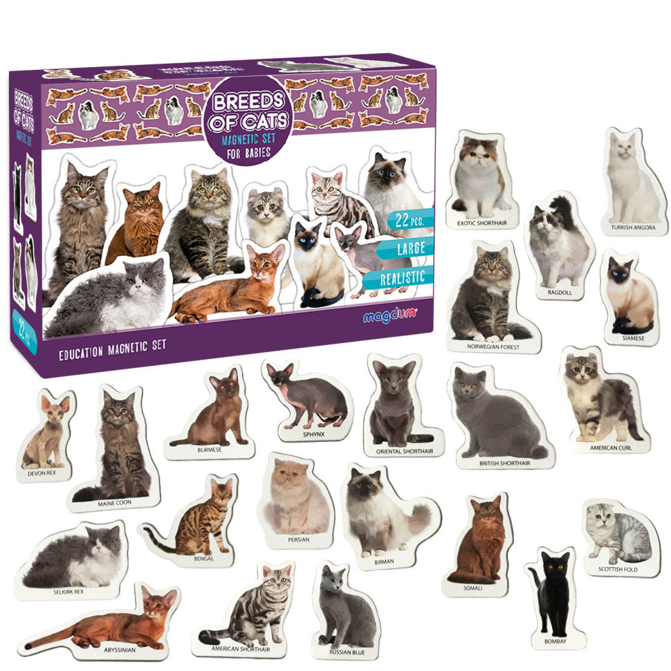 Набор магнитов Magdum 