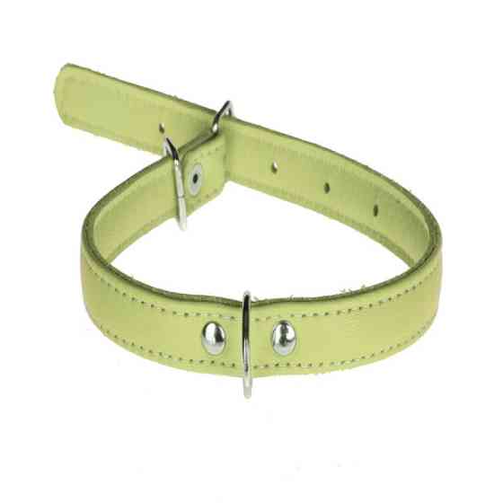 Нашийник 1363 12мм "Люкс" 1 стор. Салатовий Вінниця