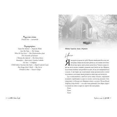 Книга Розбитий лицар - Л. Дж. Шен Видавництво РМ (9786178373283) Вінниця